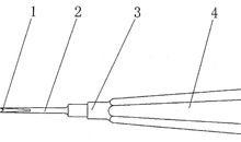 高二叙事作文：拔牙_500字