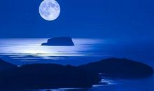 [中秋节征文]又是一年月圆时_550字