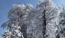 雪中游宁波_800字