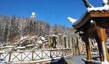 我家乡的冬天_100字