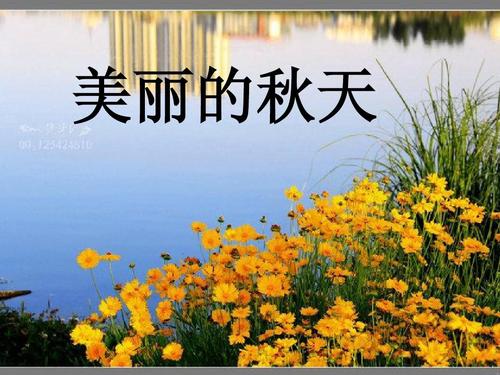 美丽的秋天_750字
