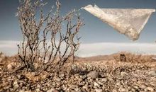 平凡中的发现_750字