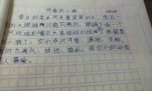 高中叙事成分：“我无法安装”的爱_900字
