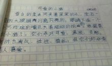 高二叙事作文：“装不下”的爱_900字