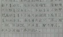 初二状物作文：火辣的勋章_550字