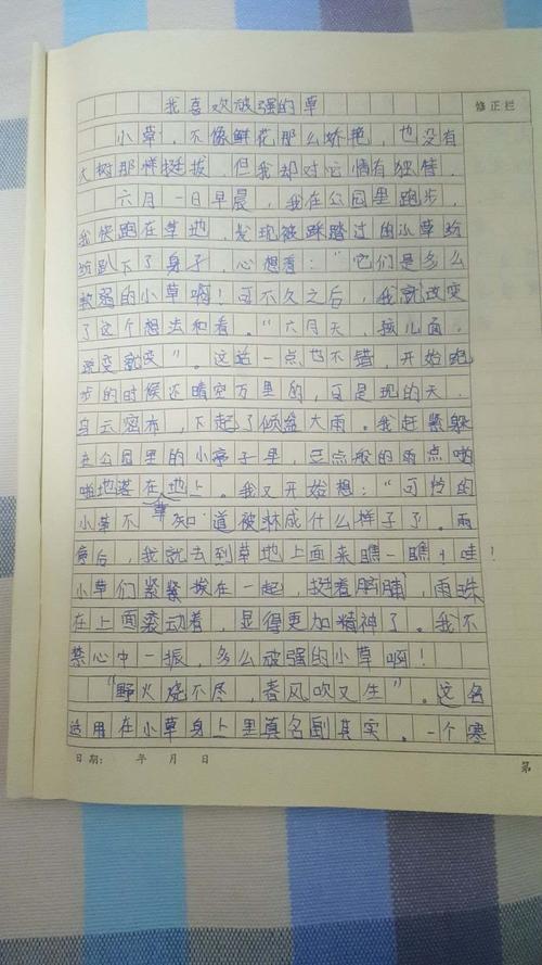 乙泥作品：植物草在心中_900字