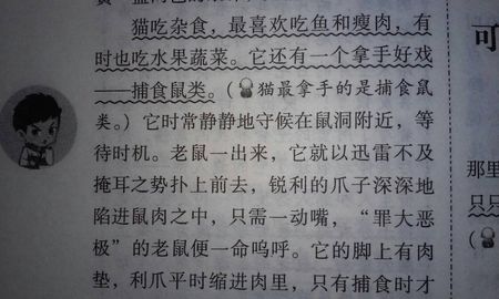 第一个双向组成：槌球熊_1200字