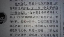 初二状物作文：布绒小熊_1200字