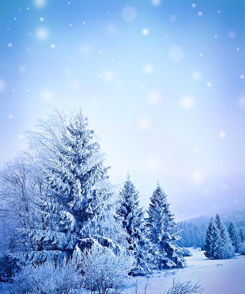 在雪景上的构图：冬天的雪景_400字
