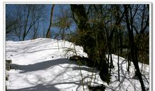 关于雪景的作文：山中雪景_300字