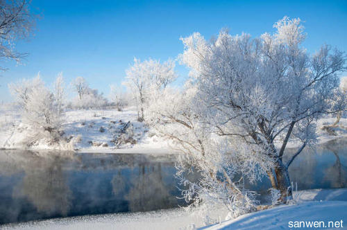 雪景上的组成：冬天雪景_250字