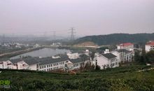 再访福利院_500字