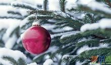 关于雪景的作文：雪景_400字