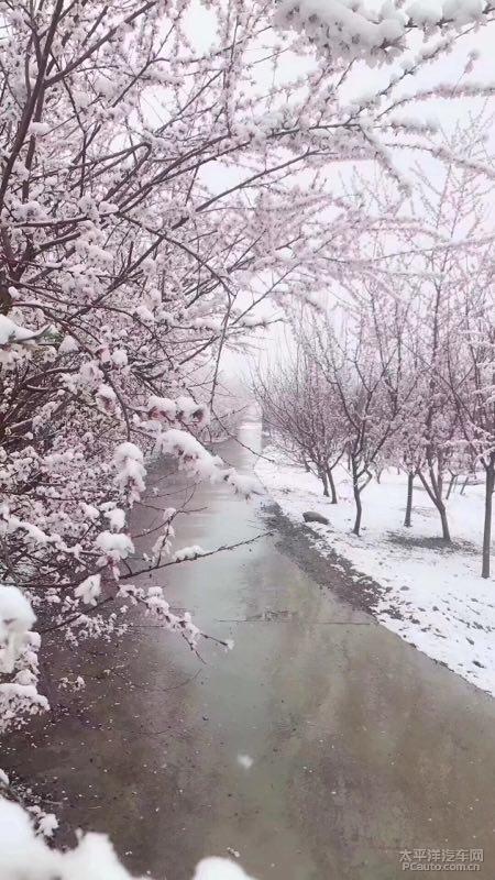 与雪景的组成：乡下的雪景_800字