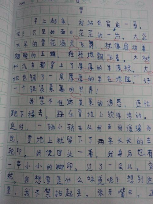 雪景上的组成：雪选择_500字