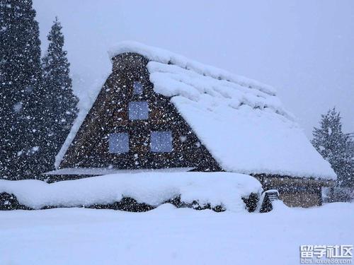 雪景上的构图：那个年的雪景可能是真的_550字
