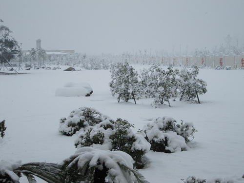 雪景的构图：松花江雪视图_250字