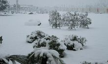 关于雪景的作文：松花江雪景_250字