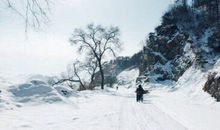 关于雪景的作文：又是那道雪景_800字