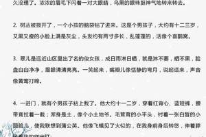 万圣节的组成：小猪和蝙蝠魔鬼_500字