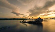 鸟儿没有了翅膀_650字