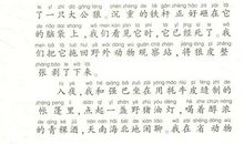 初读《红楼梦》有感_1000字