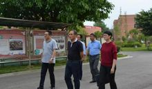 六一前夕的准备_400字