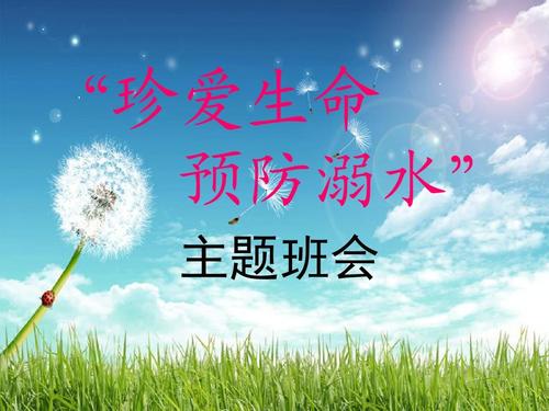 珍惜生活，学会照顾_700字