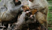 人与人互相关爱_450字