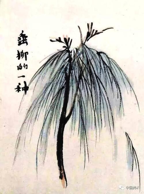 柳树和松树_550字