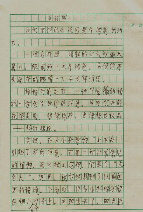 四年级叙事组成：令人难忘的照片_450字