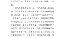 四年级状物作文：小仓鼠_450字