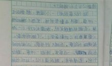 四年级写景作文：这儿真美_300字