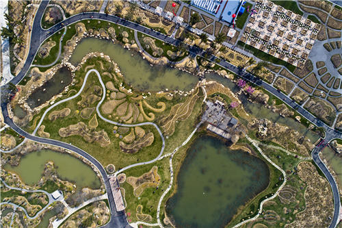 中国梦，家庭美容_550字