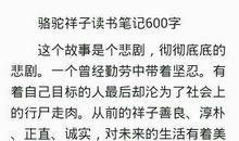 我了解了世界大战_1000字