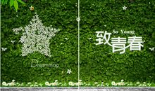 当岁月经历生活_2000字