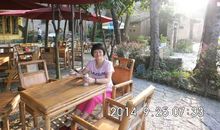 旧雨新雨_1200字