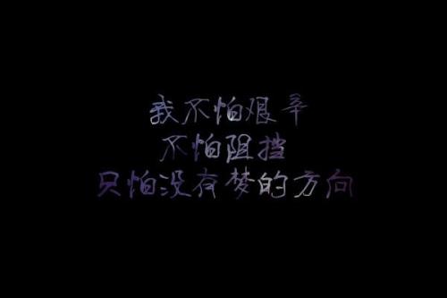 青年的精彩_700字