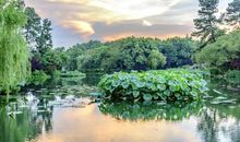 五水共治，山水见证_600字