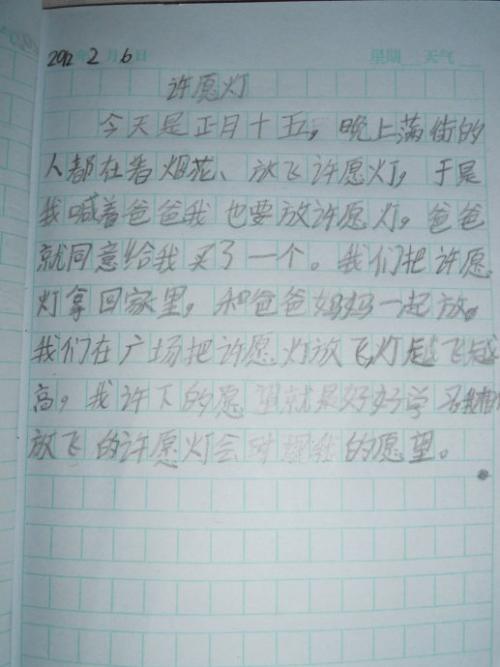 冬季假日日记8 _550字