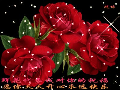 玫瑰_300字