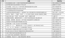 [2020年高考征文小学组]青年携手，共创未来（点评）_1500字