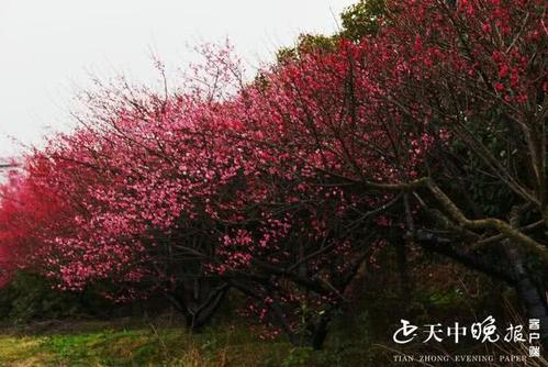 [2020高中学历高中群]山河是世界上无辜的（审查）_1500字