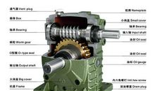 [2020年高考征文初中组]携手同一世界，青年共创未来（点评）_1500字