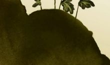 我品尝到了泪水的滋味_550字