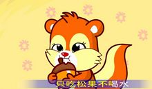 给小松鼠的一封信_250字