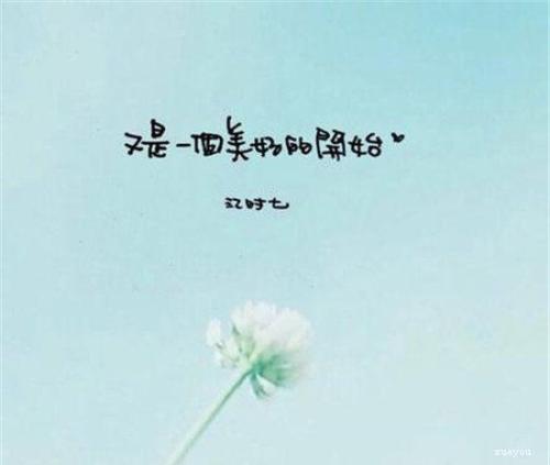 事实上，这只是一种误解_550字