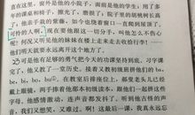 放学以后——《最后一课》续写_700字