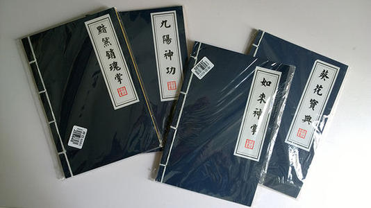 我的“武术作弊”_550字