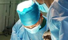 知错就改的小文_700字